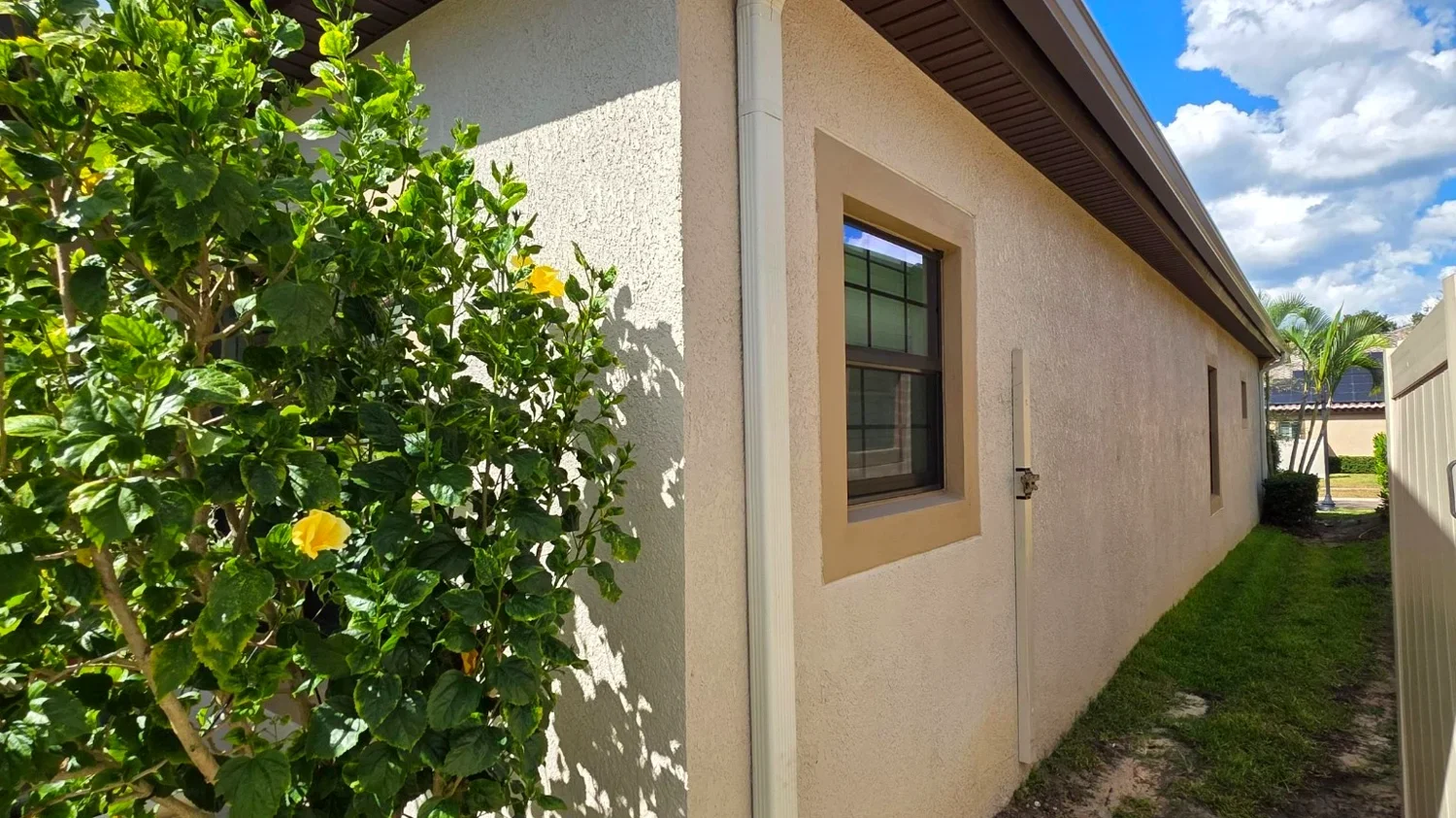 Downspout and gutter drainage along a residential side yard
